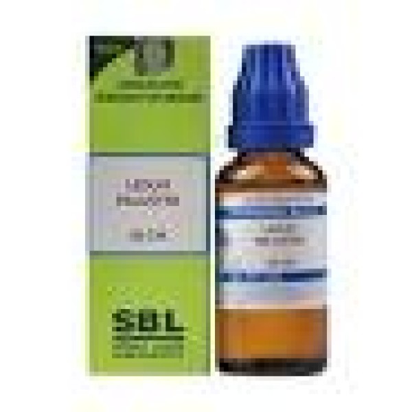 Ledum Palustre